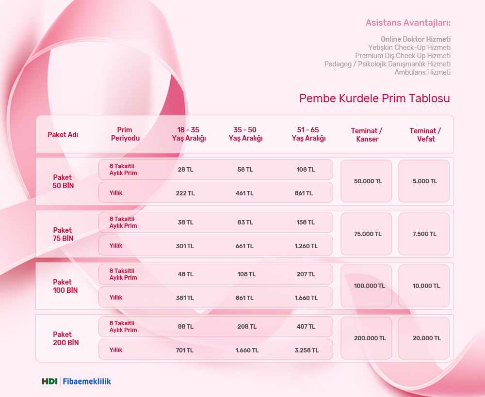 e-plas-hdi-fibaemeklilik-pembe-kurdele-ogretmenler-gunu-2024-kasim